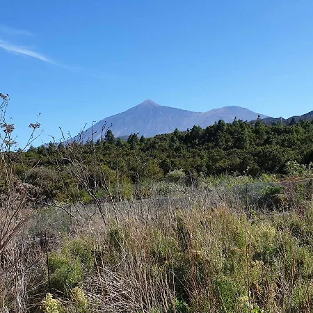 Luxury tent Tenerife Wood